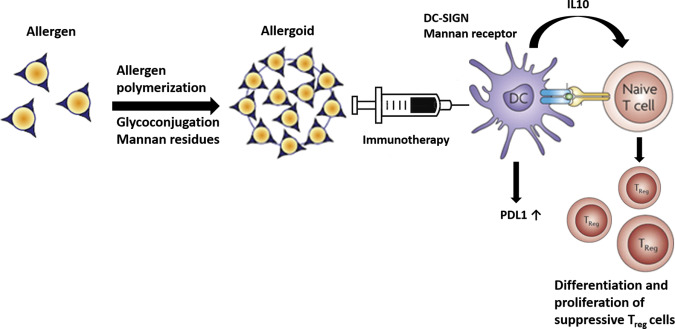 allergen immunotherapy